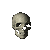 skull1.gif